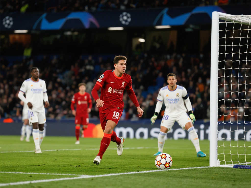 兰在复兴之 兰在复兴之